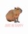 Just be Cappy.jpg